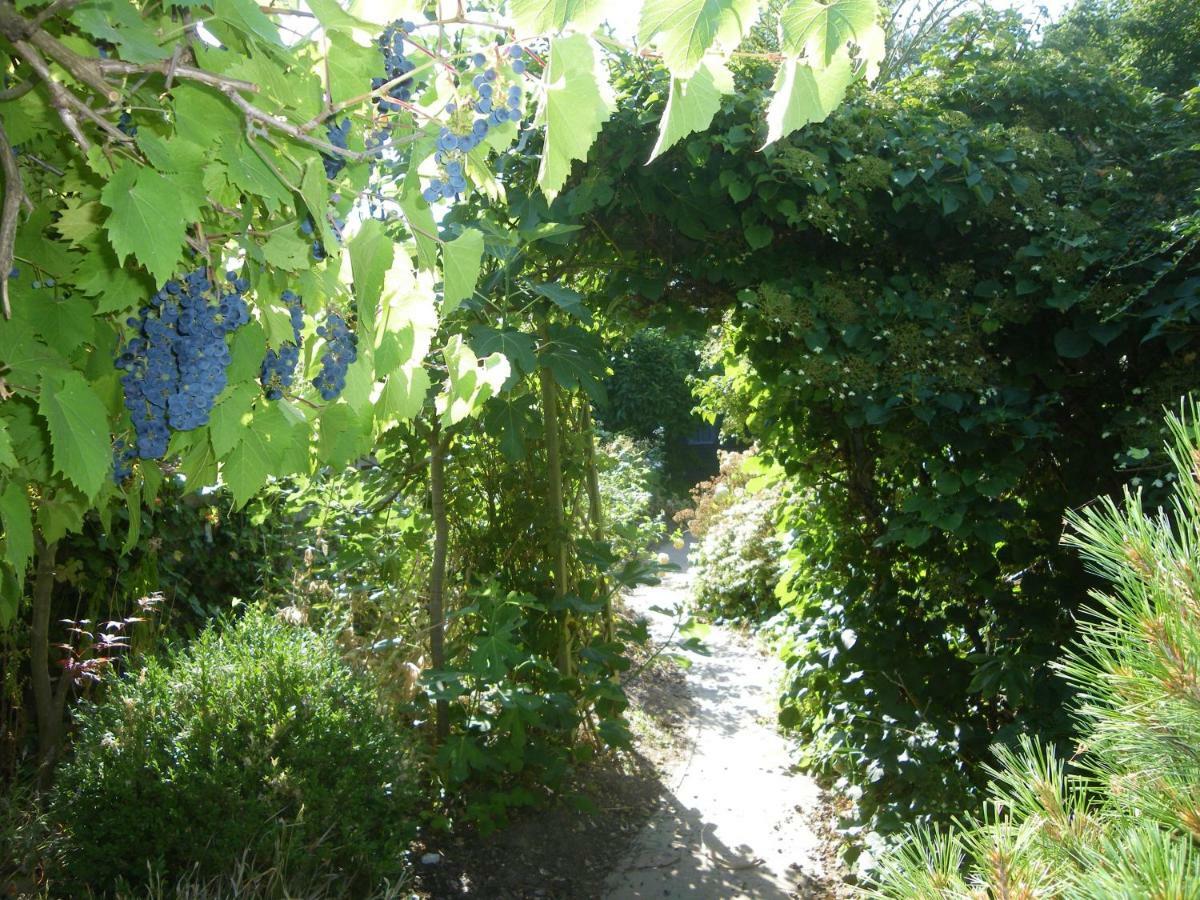 Au gîte de Binche Buitenkant foto